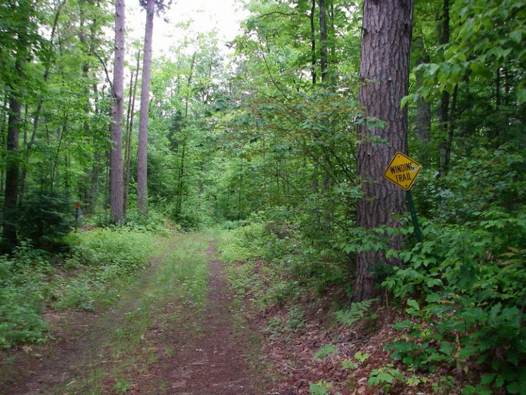 Northern Highland - American Legion State Forest - Cannonshot.net